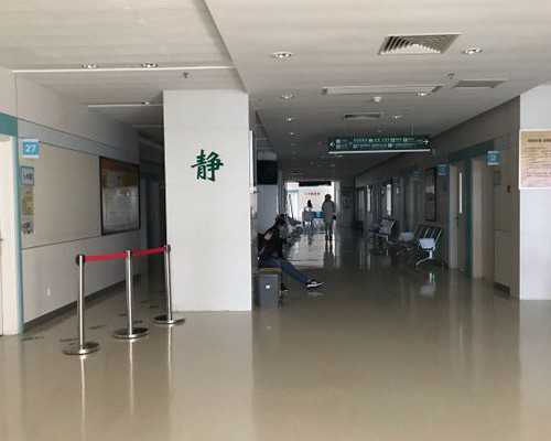 施南古玩城_纨扇清风—系列宫扇展(第二期）在北京琉璃厂一得阁丹凤朝阳美术