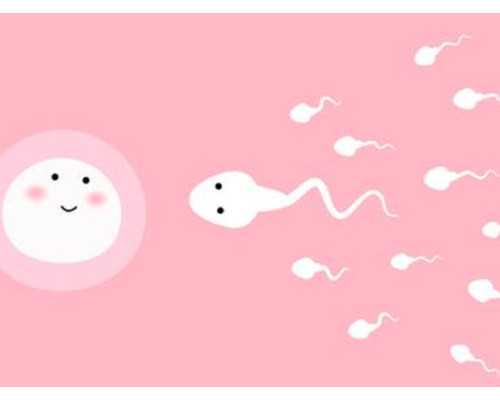 2017香港验血男女准吗_正规的性别检测规范权威机构