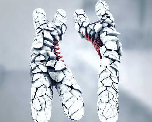 药流后多久香港验血_怎样验香港验血报告单准不准_验血查性别是不是骗人的