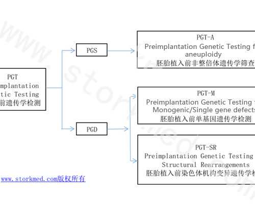 古玩虫电视剧高清在线_袁运生的历程：袁运生迄今为止最大规模回顾展