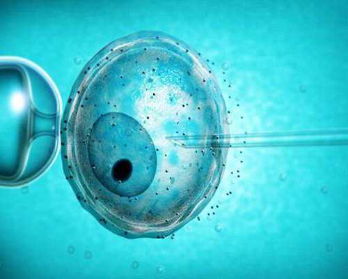 香港验血是不是周数越大越好_怎么到香港验血准不准_几个y才是男的需要注意什