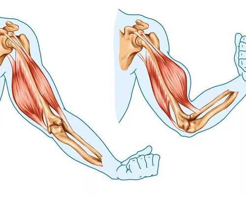 7周香港验血需要空腹吗_香港性别鉴定宝宝树,给大家的建议