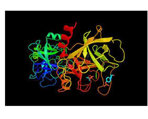 香港验血还可以寄血吗_关于变形金刚模型（玩具）等级的问题。什么牌子的变