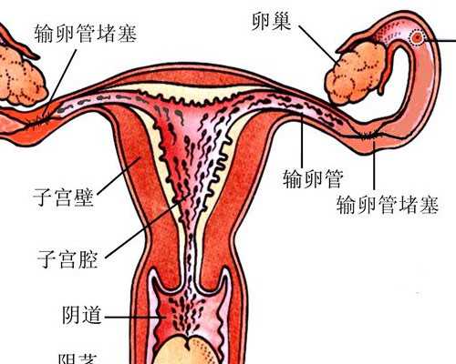 香港时代验血检测报告中介,关于狮子林的资料。苏州狮子林以前谁住的