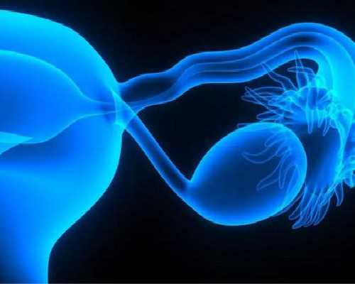 香港验血最快7周可以验,二胎备孕，如何拥有男宝宝的方法！