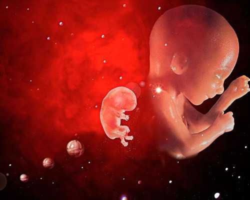 香港验血怀孕周数确定_香港尖沙咀妇幼保健医院验血预约_科学吗时间是多久