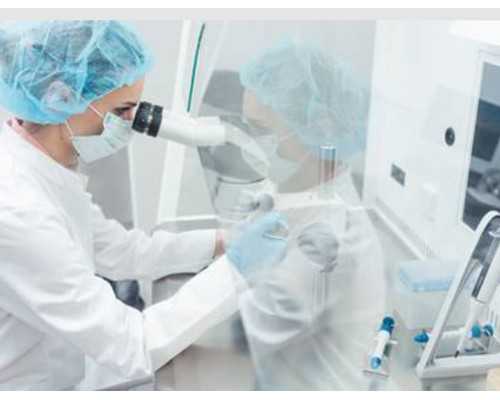 盛世古玩商全书阅读_饮食健康小知识