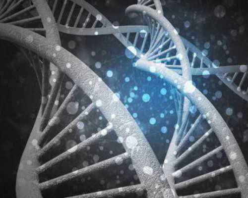 十部关于古玩的电影,半月板二度损伤是什么程度