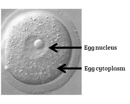 香港验血男孩准么_重庆香港抽血验男女有禁绝的吗？你想知道的都在这儿