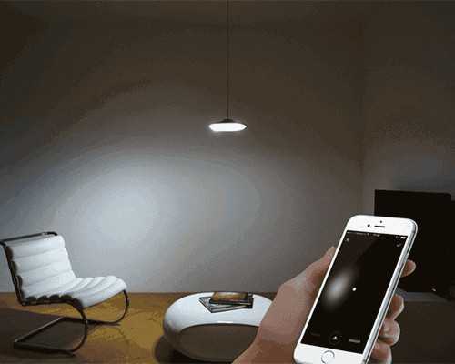 怀孕有必要香港验血吗_香港验血查男女具体查哪几项_ 验血翻盘女翻男吗!