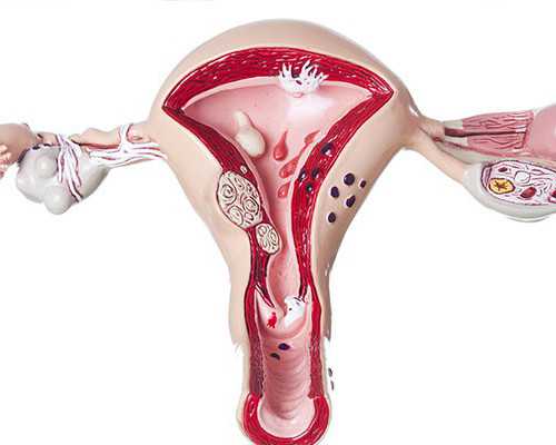 香港验血备孕经验_验血测男女准确率高吗？查男女你所不知道的事！