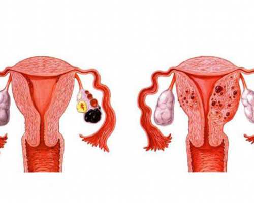 寄血去香港验血查胎儿性别 武汉_关于生命的作文300字关于生命的作文,600字左右