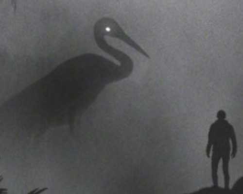 香港七周验血从哪天开始算7周_香港验男女抽血前能吃醋吗_有没有验血最后翻盘