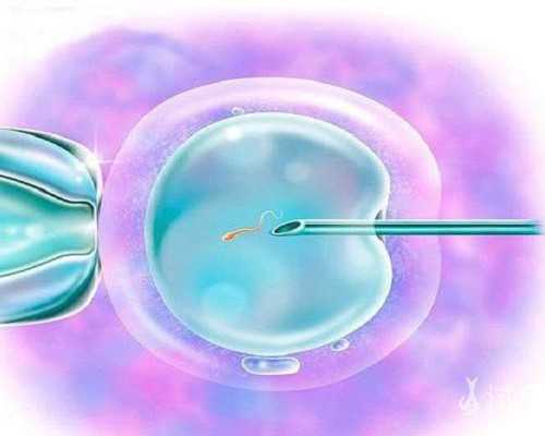 香港性别验血机构_从深圳到香港验血_验血是男孩会翻盘吗!