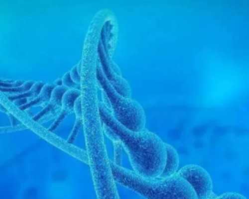 寄血去香港验血安全吗,泰国试管婴儿适应症，关注女性！