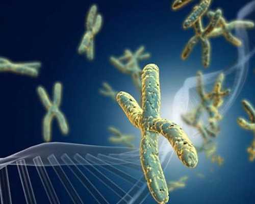 香港验血查男女有哪些正规机构_香港怀孕抽血查男女哪家机构好_多久能出结果