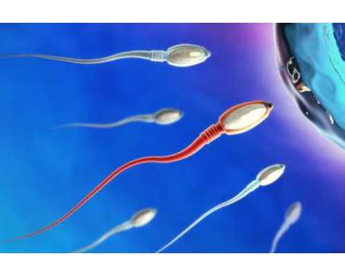 李成儒古玩虫第1集,去洗手间做的健身操