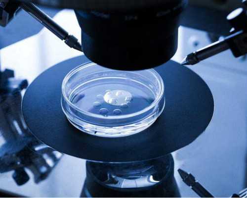 香港验血联系电话多少_香港验血血管里的血液几天失效_查生男女准确率有多高