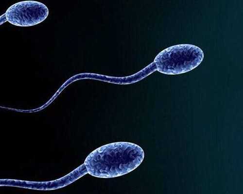 寄香港验血要多少天_香港验血达雅高的单子准不准_性别鉴定是男孩会翻盘么