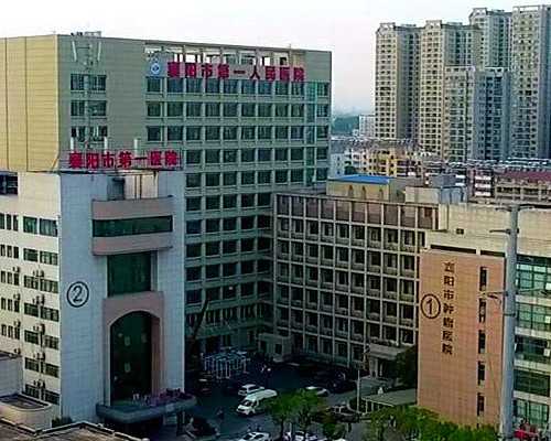 香港验血查出女孩准吗_RH阴性血会影响香港验血测男女吗,验血查男女是合法的