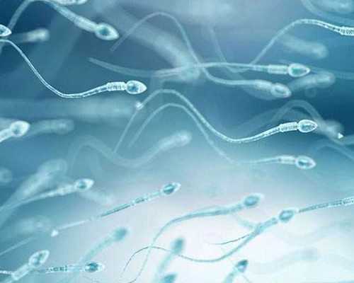 怀孕可以到香港验血吗_香港DNA化验所验血报告准不准,验血查男女邮寄可靠吗