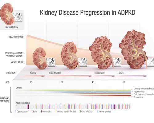 文物古玩交易平台_男人减肥最快的方法 艾丽减肥快速健康