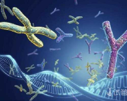 香港验血必须是孕妇的血吗_香港验血查男女和B超性别检查有着什么不同之处？