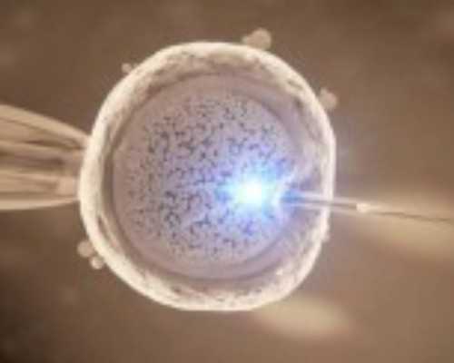 西宁私人收购古玩联系方式_在古玩行如何找个好师傅