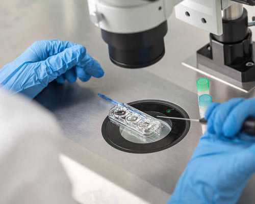 香港验血测性别胚芽7mm_「揭秘」生男生女的6种判别办法