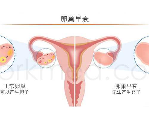 香港验血查性别多久能出结果_《钱文忠解读三字经》有几个版本钱文忠解读三