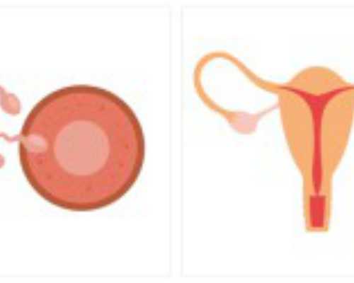 香港验血有没有不准的出来聊聊_怀孕多少周可以香港验血查男女_需要提前几天