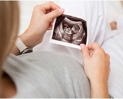 香港验血鉴定需要几周_关于动物的作文320字左右描写动物的作文