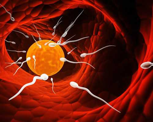 怀孕多久可以在香港验血_香港验验血男女的要多少钱_哪个机构最权威!