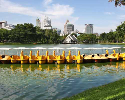 古玩后宫人生小说免费阅读_文化自觉与文化互动