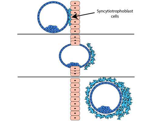 深圳寄香港验血报告辨别真假_单非香港产子需求验父亲dna吗,验到男孩女孩有人