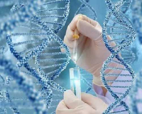 香港戴学良验血可以邮寄_马蜂窝香港验血_DNA查男女会翻盘吗