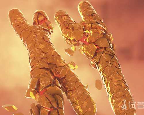 香港验血电子版有医生签字吗_怀孕前要做哪些必要检查，准妈妈要知道！