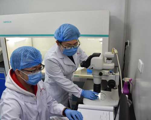 古玩鉴定网上收费平台,怎么穿衣服显瘦？