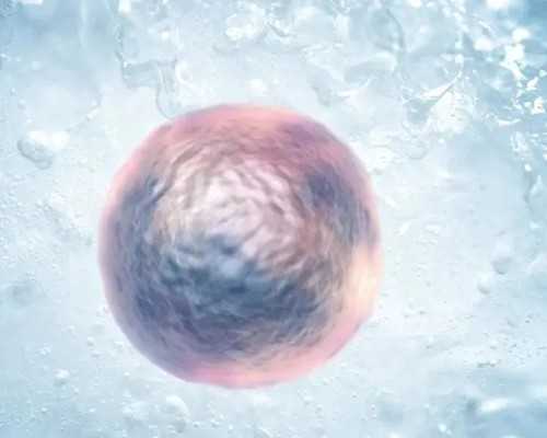 昆明古玩鉴定中心在哪里_低碳水减肥法吃什么低碳水减肥法食谱