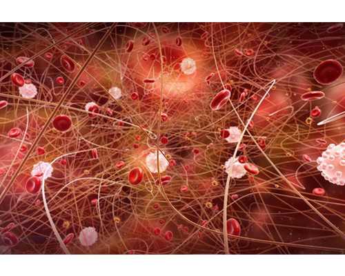 去香港验血可直接邮寄过去吗_香港验血单子中文版_寄血过去可靠吗性别鉴定