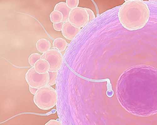 香港6周验血 pg_介绍一件工艺品作文500字写一件工艺品的作文