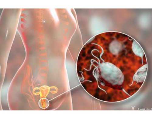 到香港验血男女准吗_染色体结果多久出来_你最担心的问题答案都在这