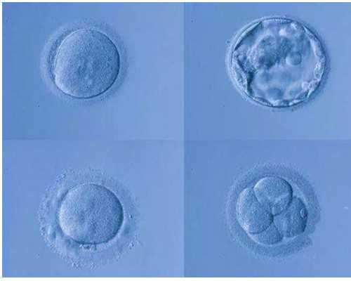 香港验血两个结果_香港验血报告单有无法检测的字样_验血查男女多久能出结果