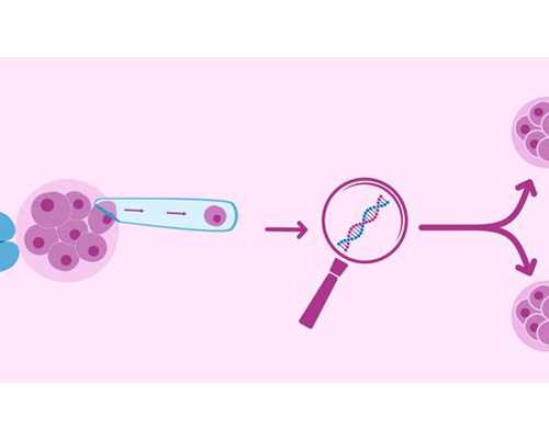 香港验血 几周 月经_定心的六周查男女安排准确率高