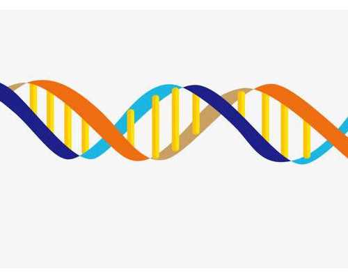 香港验血检测男女报告长什么样_香港精准验血报告单图_验血有翻盘的可能吗