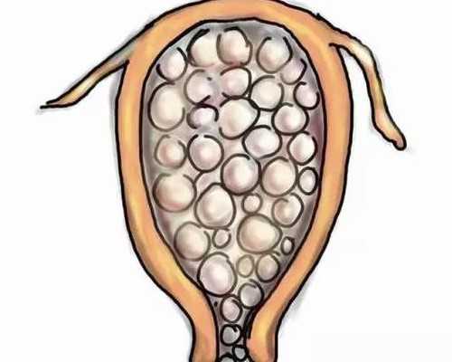 香港邮寄验血保温箱_香港验血性别的原理是什么_早期验血测男女可不可靠!