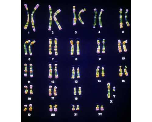 山东古玩鉴定公司_在文化拿来中坚持文化输出