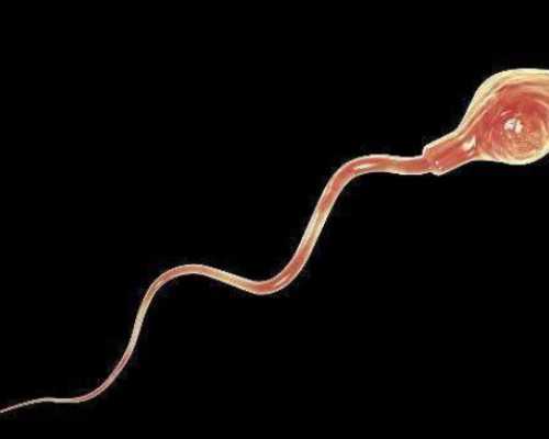 香港无创验血时间,海外助孕试管婴儿中双胞胎的费用是多少？