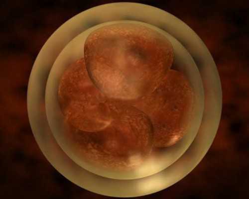 香港验血时代基因检测中心_香港哪家医院判定胎儿性别?叙述我到香港验血的全