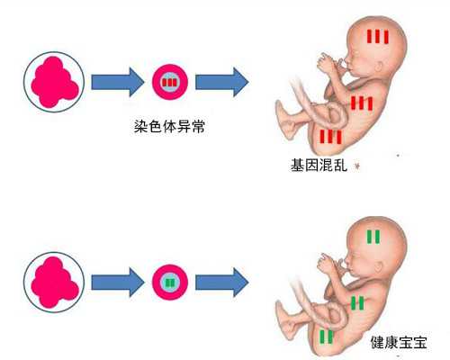 香港pg的验血报告女孩准吗_香港验血有生完验证的吗_该如何预约去香港查男女